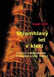 obálka - Let - Hejnic